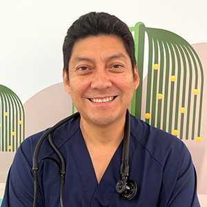 Silva Tica, Enrique